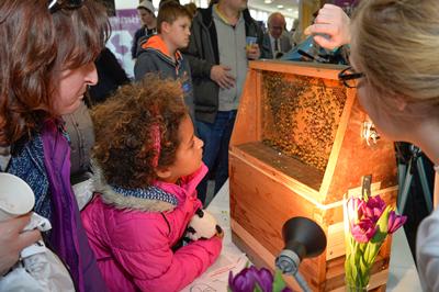 Science Festival